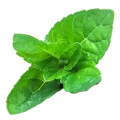 Mint 1@0.25x